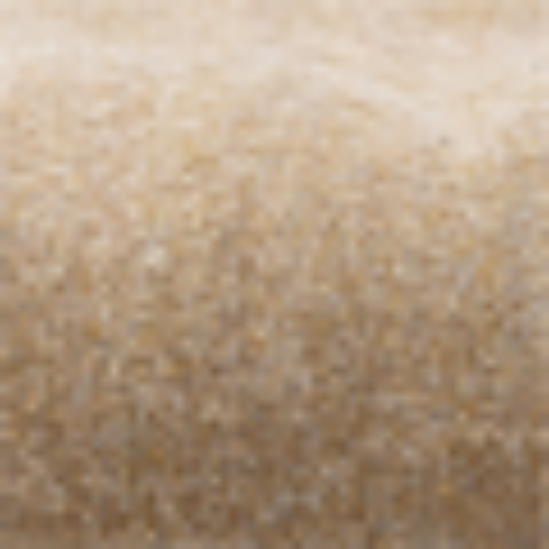 Lohi Shawl