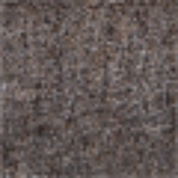 Lohi Shawl