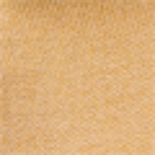 Kashmiri Shawl