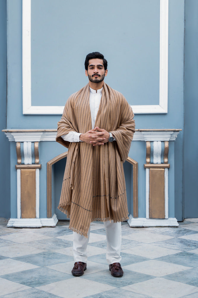 Pallandri Striped Luxury Dhussa