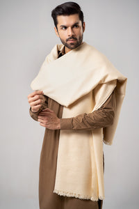 Self Border Kashmiri Shawl light