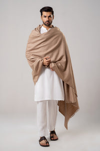 Self Border Kashmiri Shawl