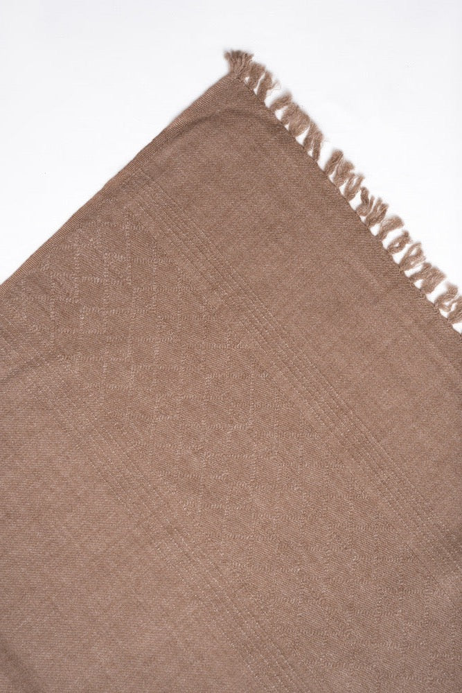 Self Border Kashmiri Shawl brown