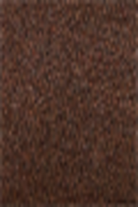 Kashmiri Dhussa